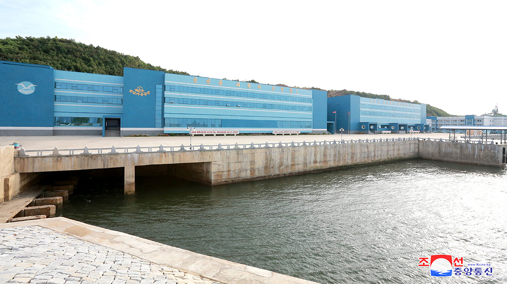 金山浦鱼鲜酱加工厂