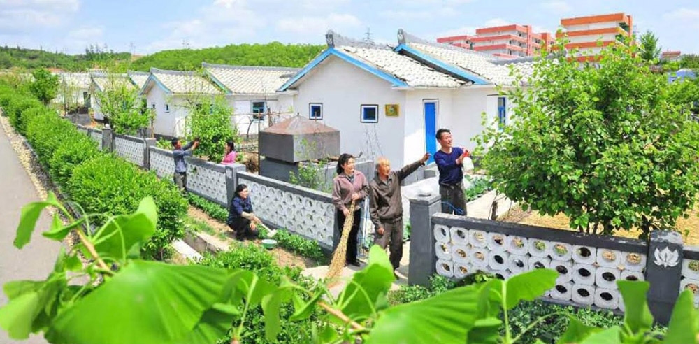 水果大丰收
