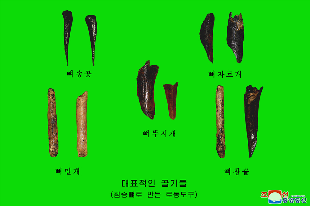 朝鲜在平原地区首次发掘旧石器时代后期遗迹和高丽初期的石佛