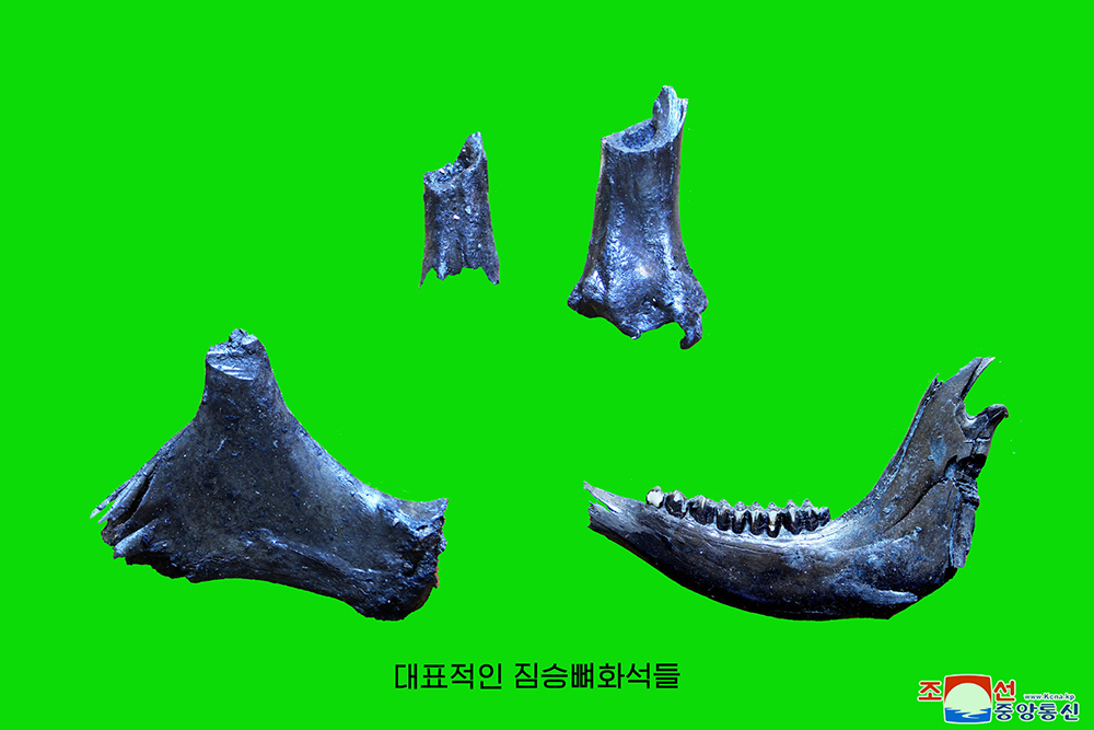 朝鲜在平原地区首次发掘旧石器时代后期遗迹和高丽初期的石佛