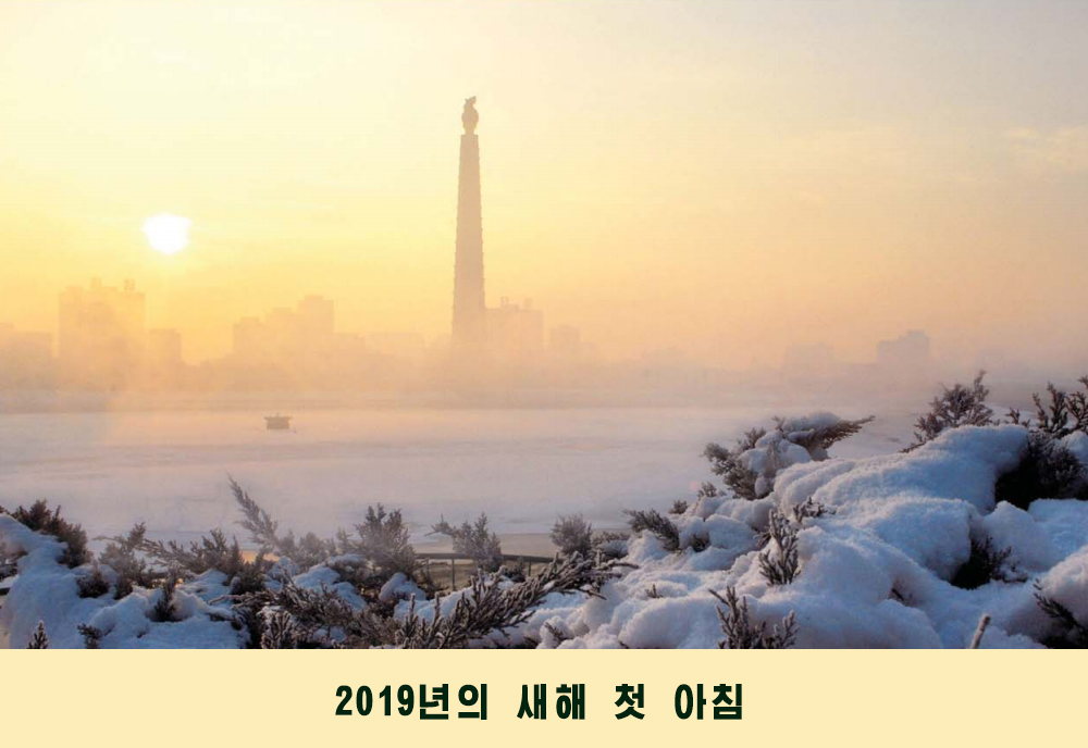 사진으로 본 2019년