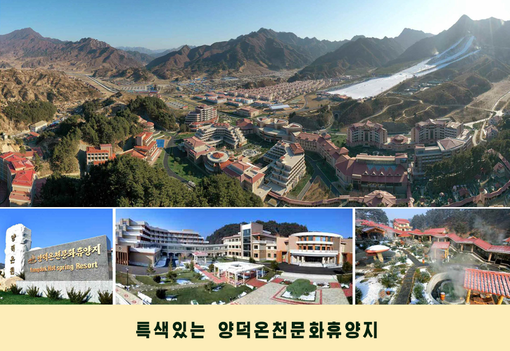 사진으로 본 2019년