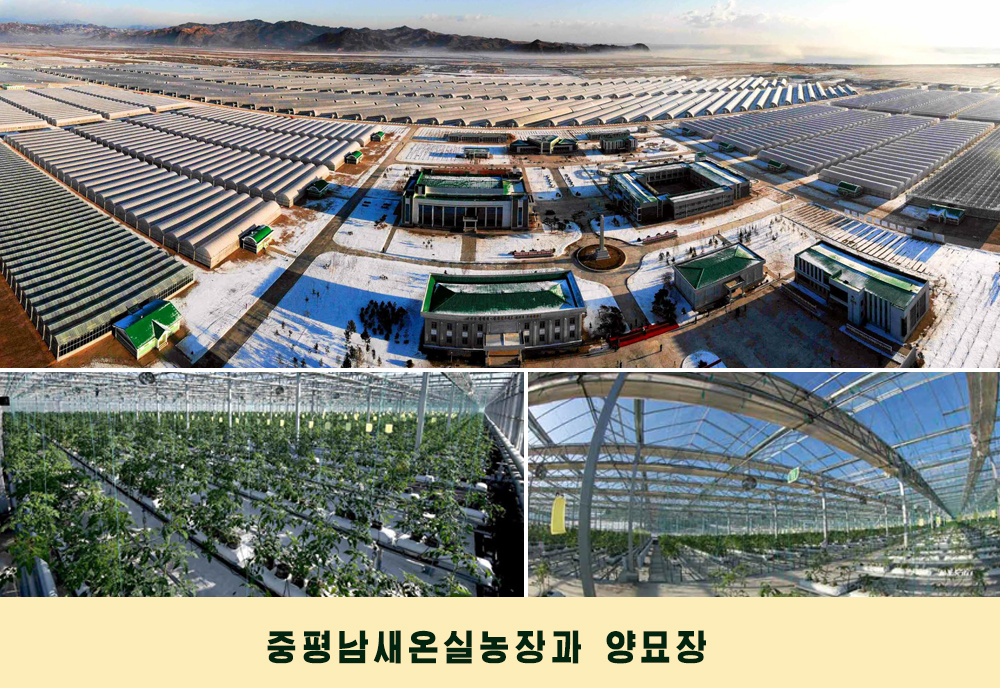 사진으로 본 2019년