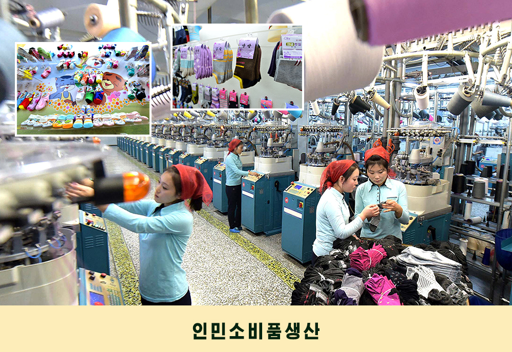 사진으로 본 2019년