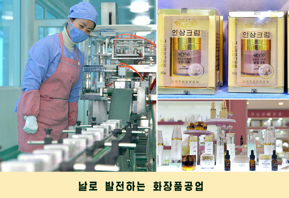 사진으로 본 2019년