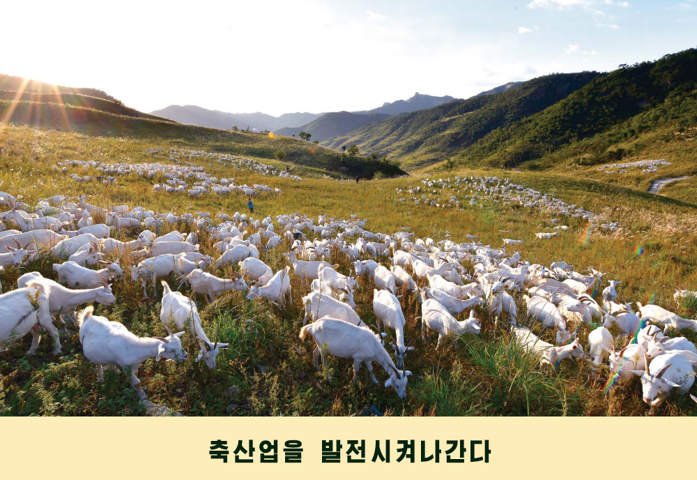 사진으로 본 2019년