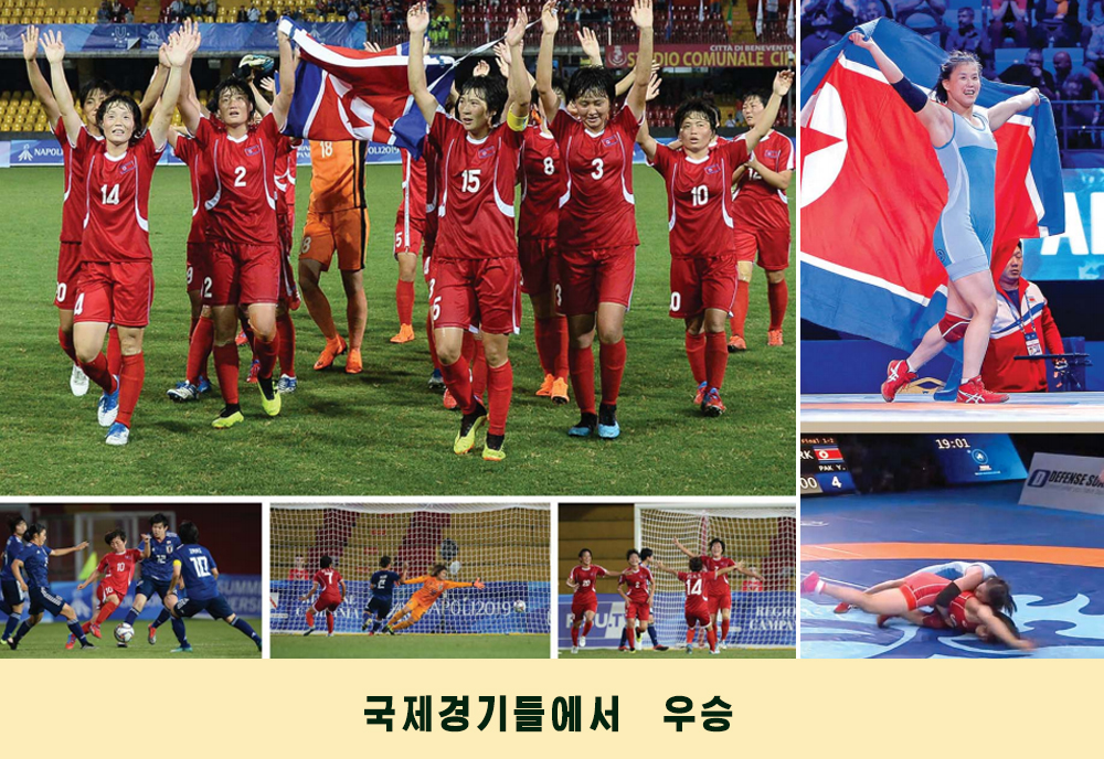 사진으로 본 2019년