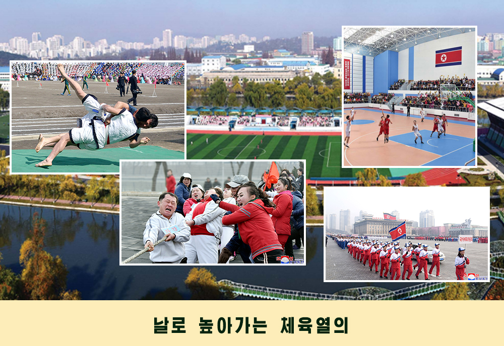 사진으로 본 2019년