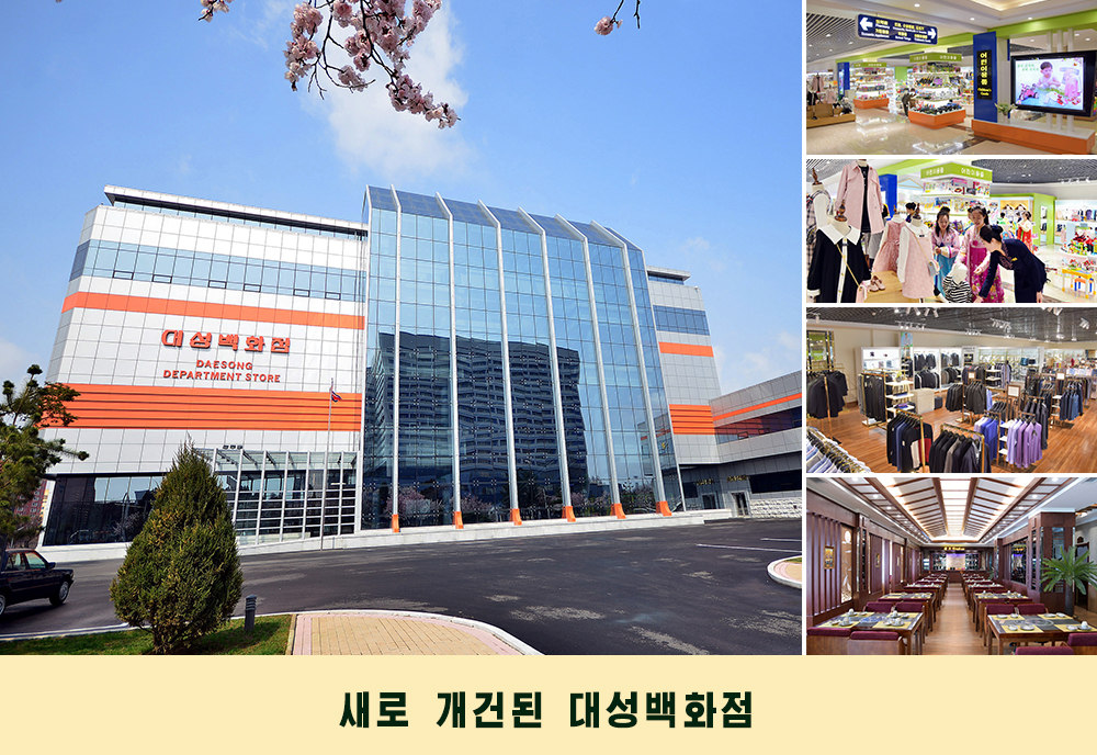 사진으로 본 2019년