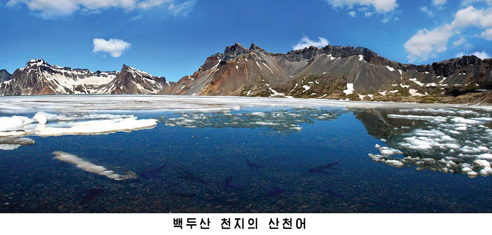 민족의 넋과 기상이 어려있는 조종의 산 백두산