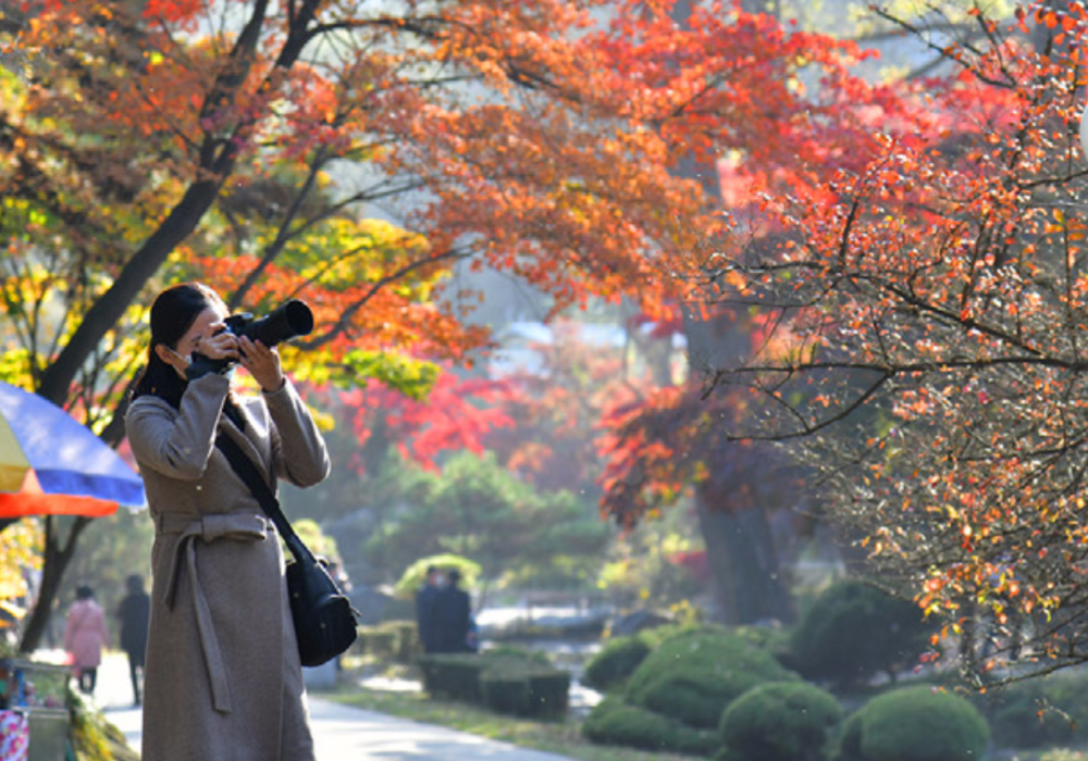 우리의 생활 (3)