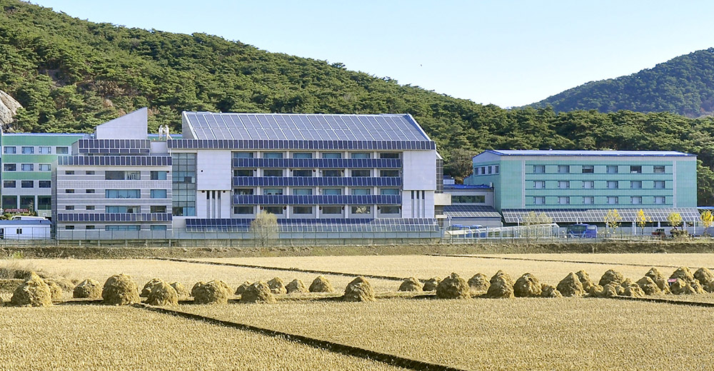 자연에네르기를 적극 리용한다