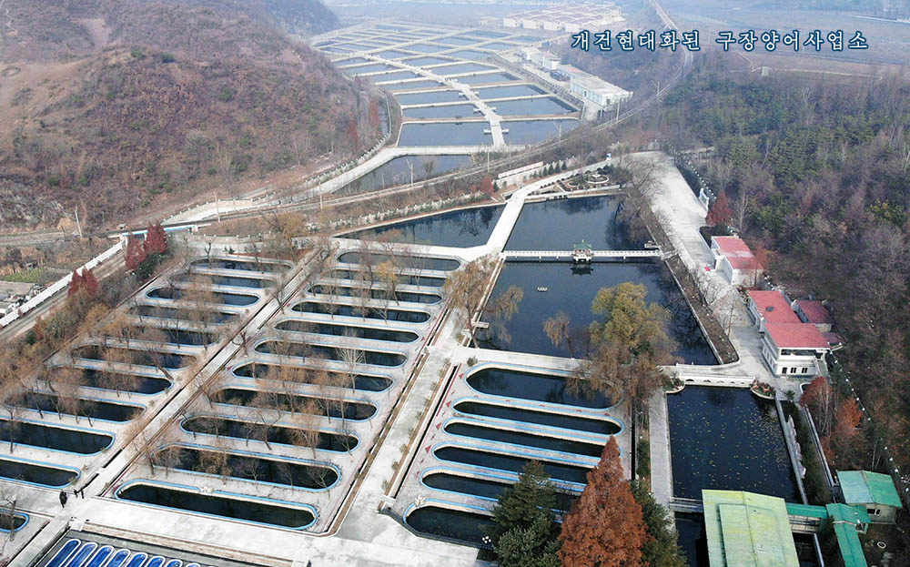 인민사랑의 2020년 (2)