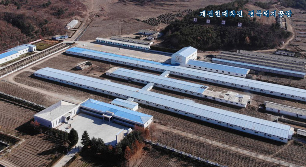 인민사랑의 2020년 (2)