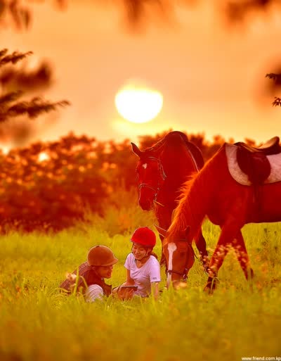 Au Club d’équitation de Mirim