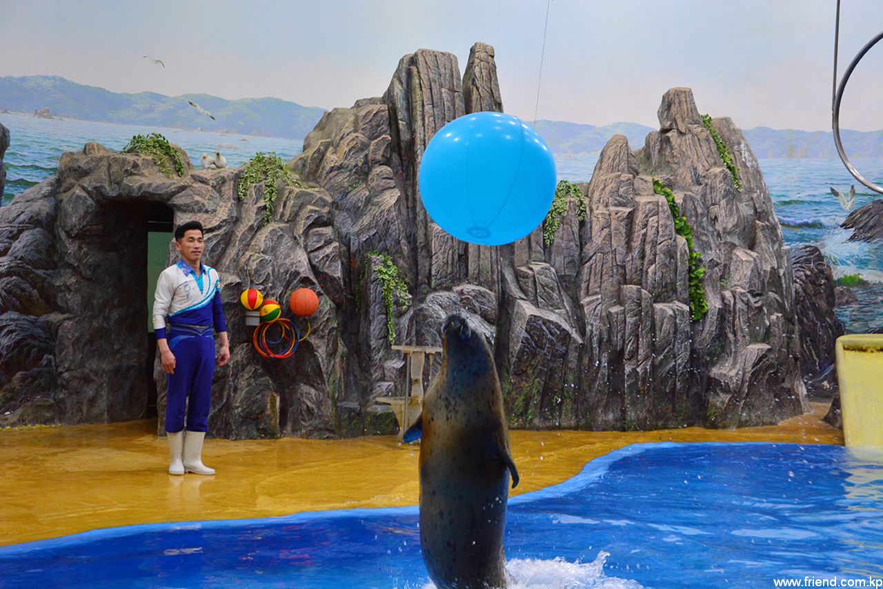 Salon des talents des animaux