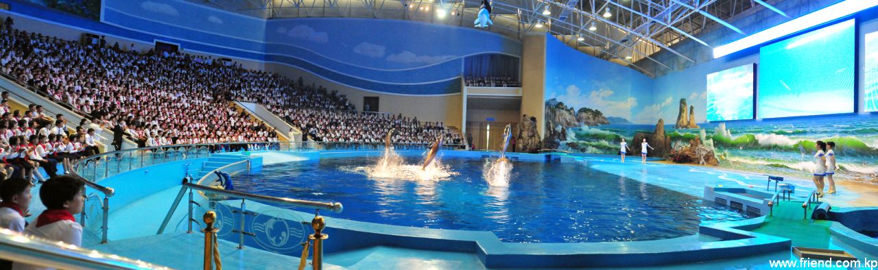 Rungna Dolphinarium