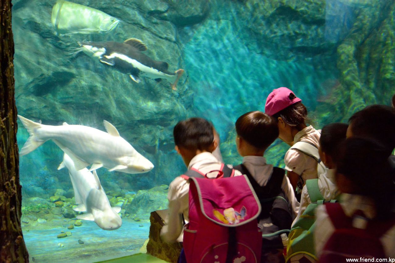 Jardin zoologique central