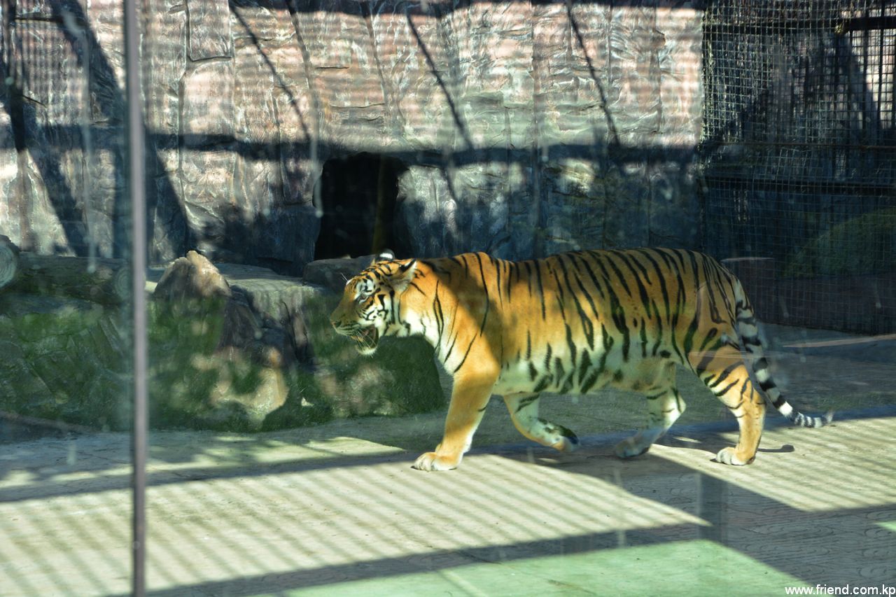 Jardin zoologique central