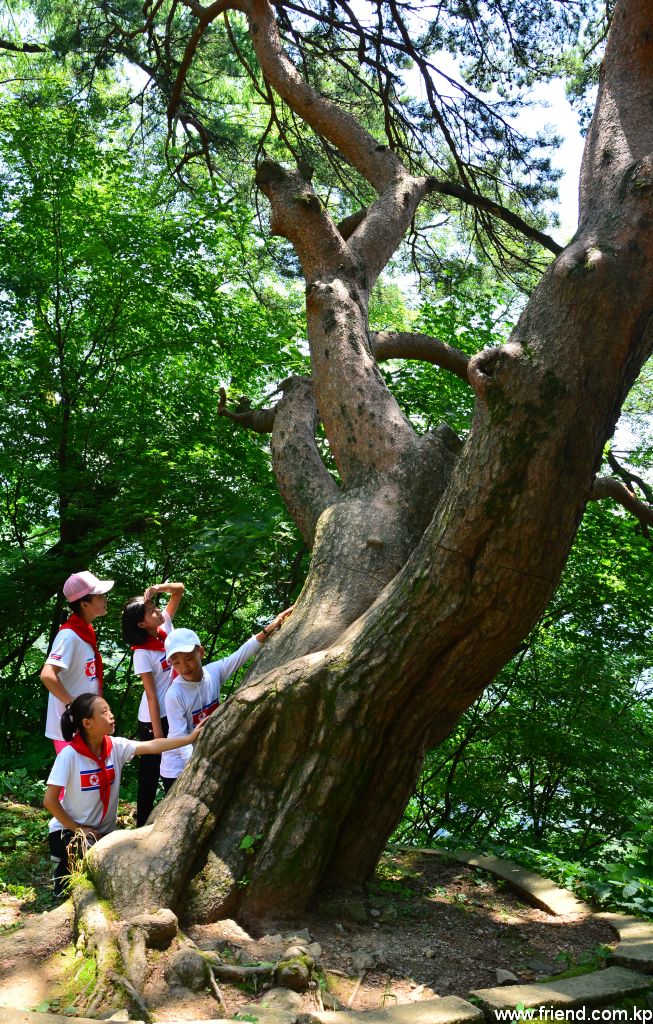 Colonie de vacances des alpinistes de l’Organisation des enfants de Myohyangsan de la ville de Pyongyang
