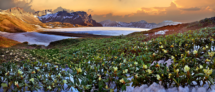 Paysage du mont Paektu