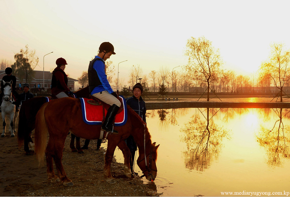 미림승마구락부
