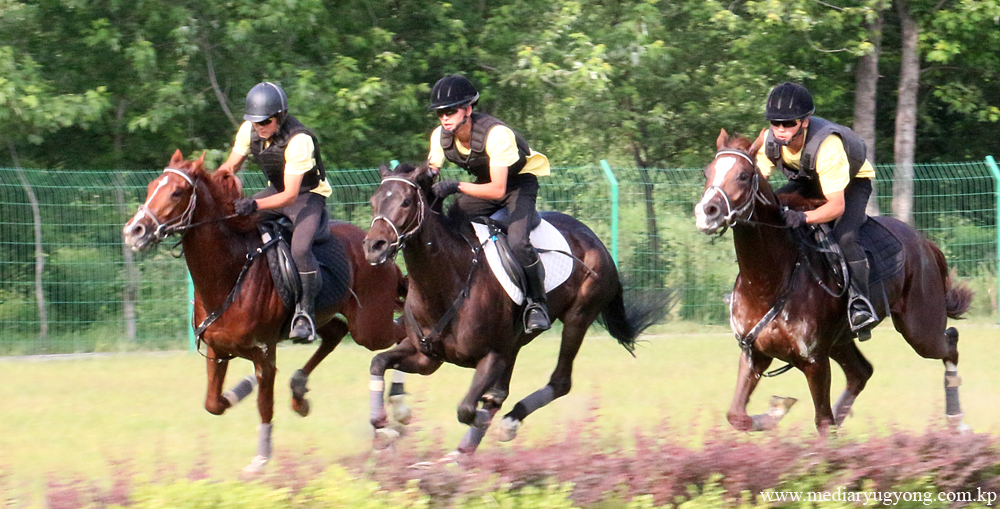 미림승마구락부