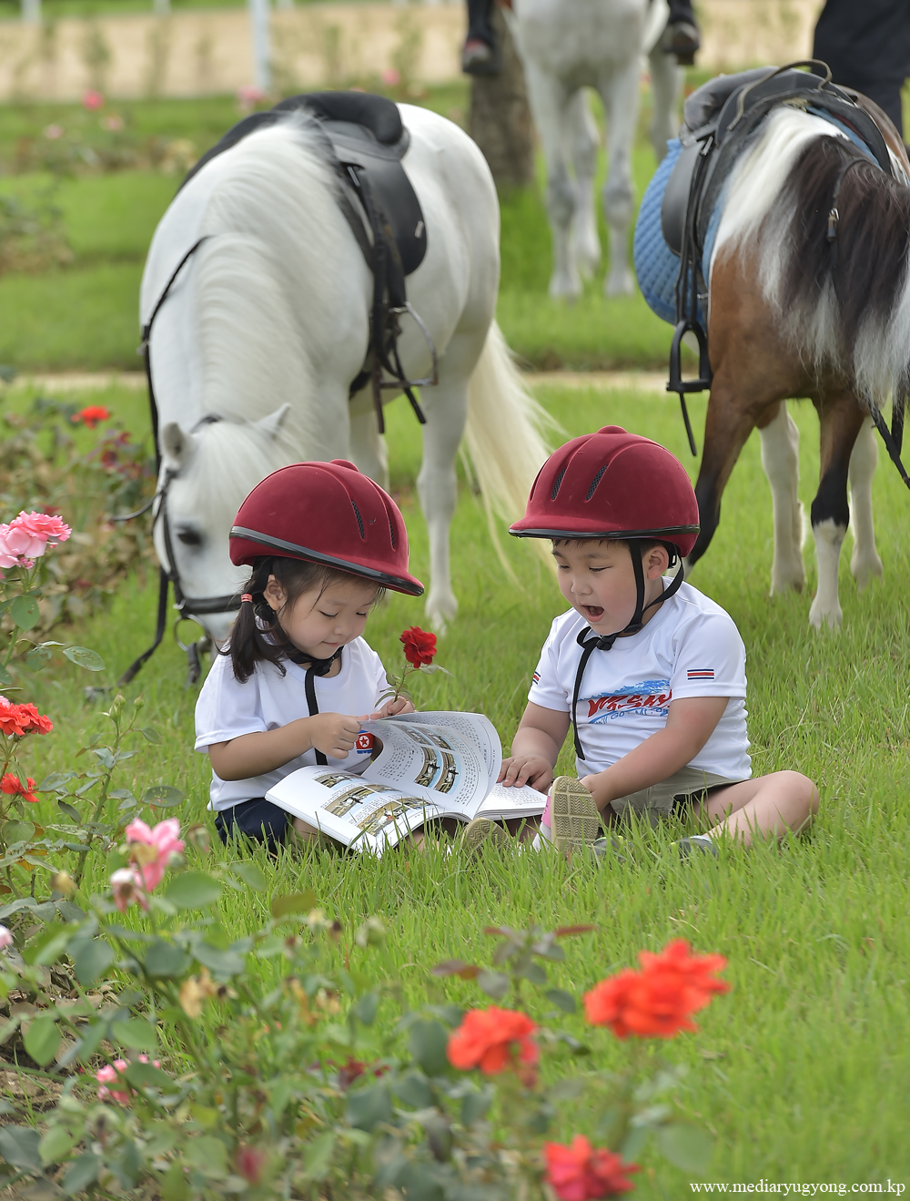 미림승마구락부