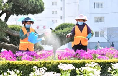 The Work of Planting Trees in Town