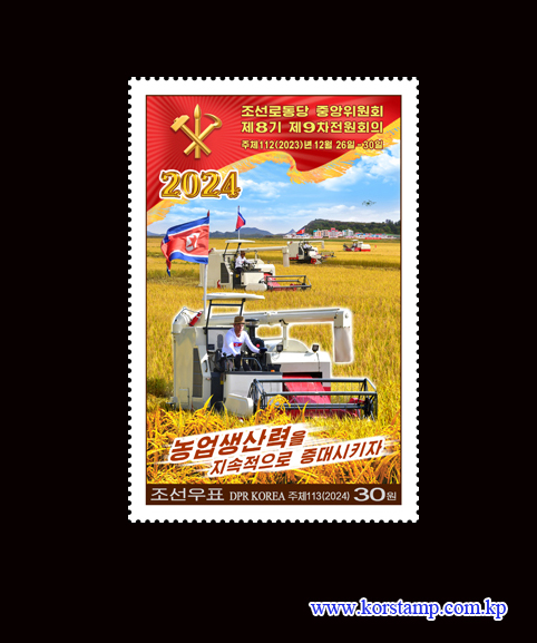 朝鲜劳动党第八届中央委员会第九次全体会议