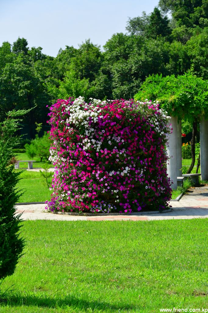 Plantation d’arbres et de fleurs dans la ville