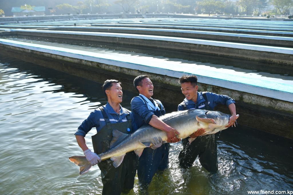 Sinchang Fish Farm