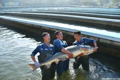 Le bassin piscicole de Sinchang