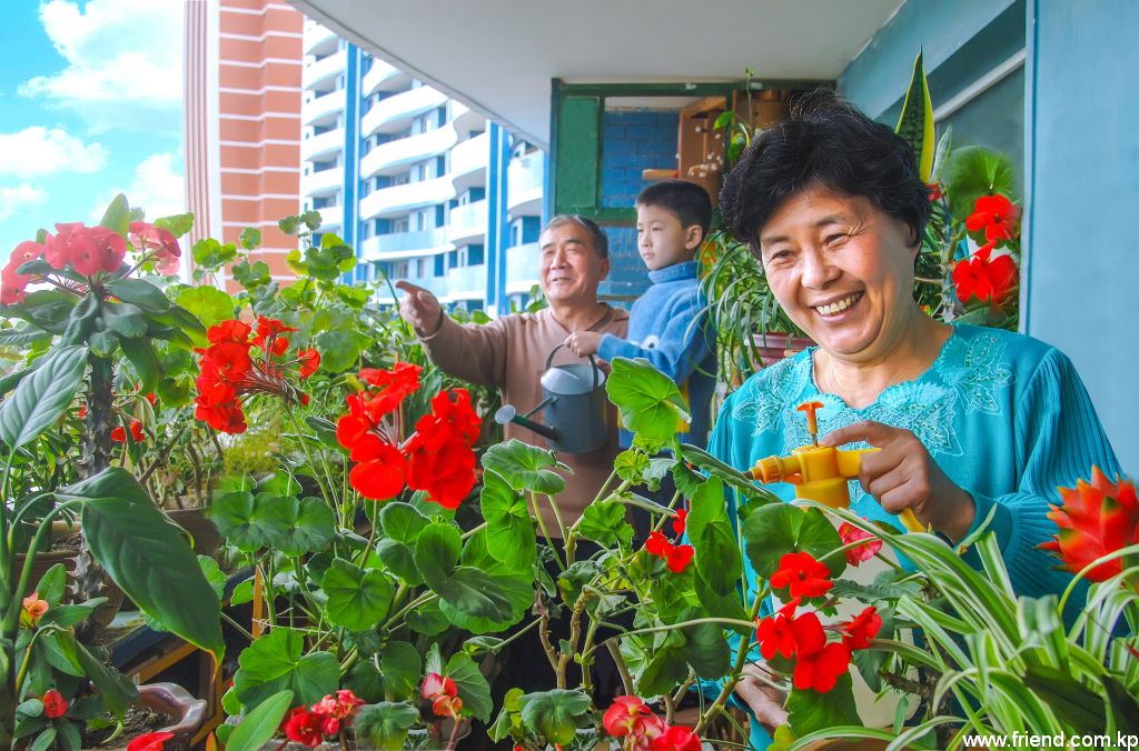 flower house