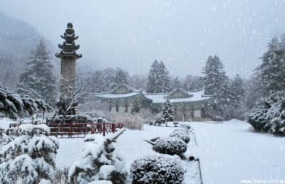 Le paysage d’hiver aux massifs Myohyang