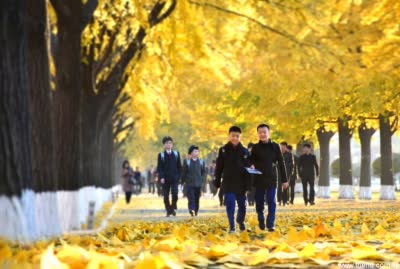 The Autumn Season in Pothongmun Street