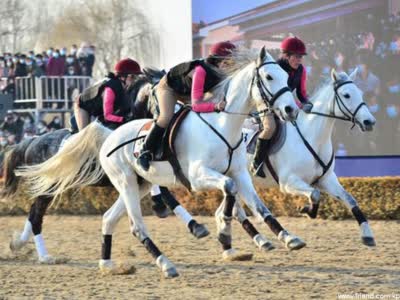 L’épreuve d’équitation