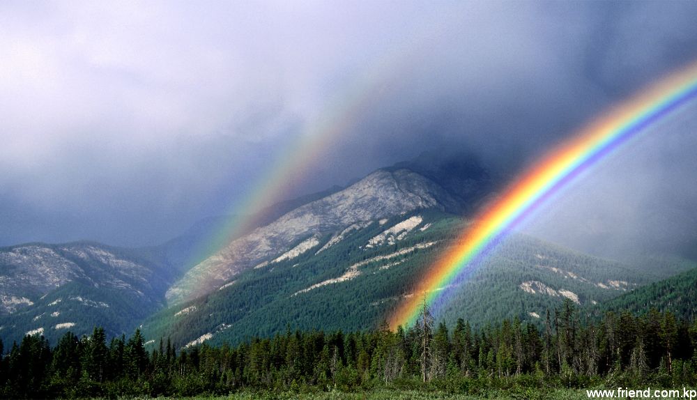 Le jumeau arc-en-ciel