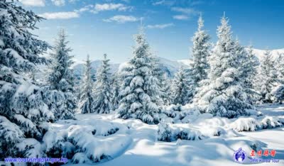 Lake Samji in winter