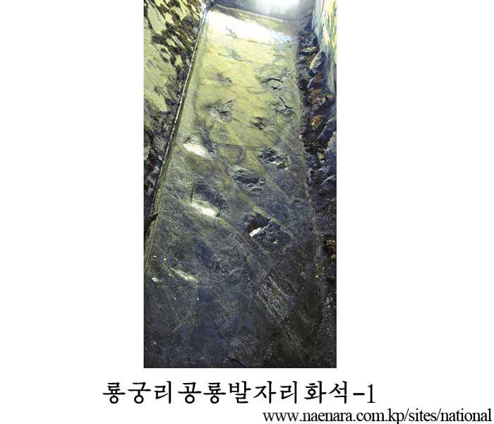 룡궁리공룡발자리화석