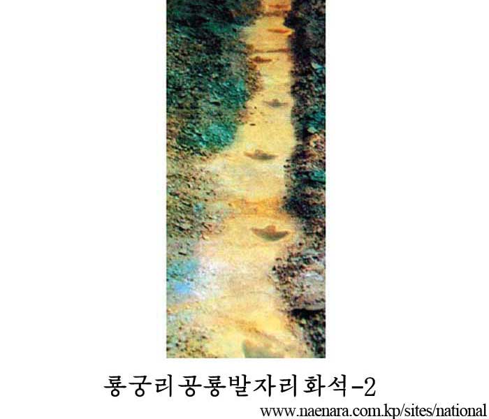 룡궁리공룡발자리화석