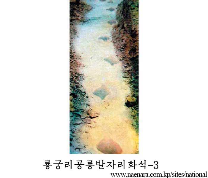 룡궁리공룡발자리화석