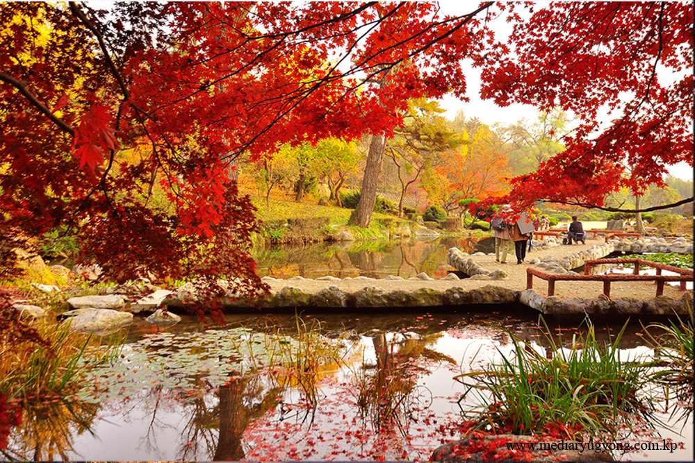 Paysage de la colline Moran en automne