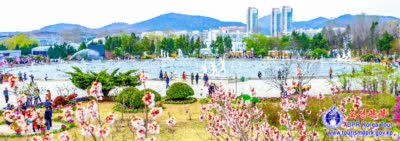 花卉节－2025