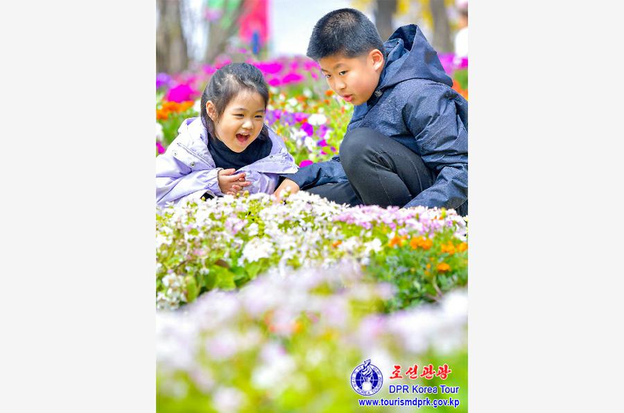 Flower Festival-2025