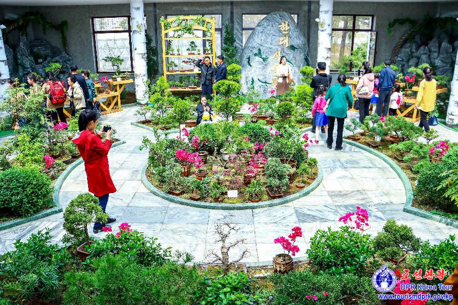 Flower Festival-2025