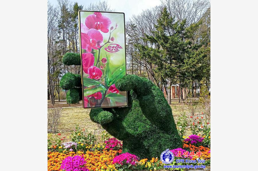 Flower Festival-2025