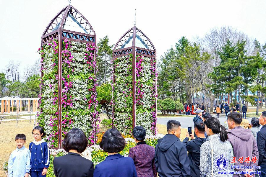 Flower Festival-2025