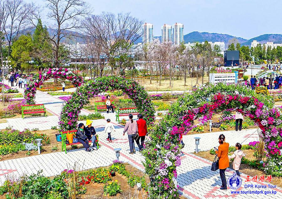 Flower Festival-2025