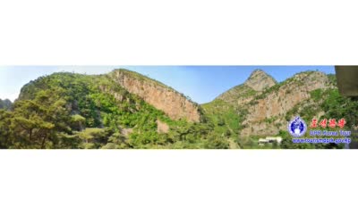 長寿山の夏